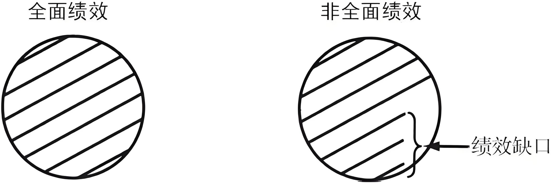 全面绩效和非全面绩效圆圈图1920.jpg